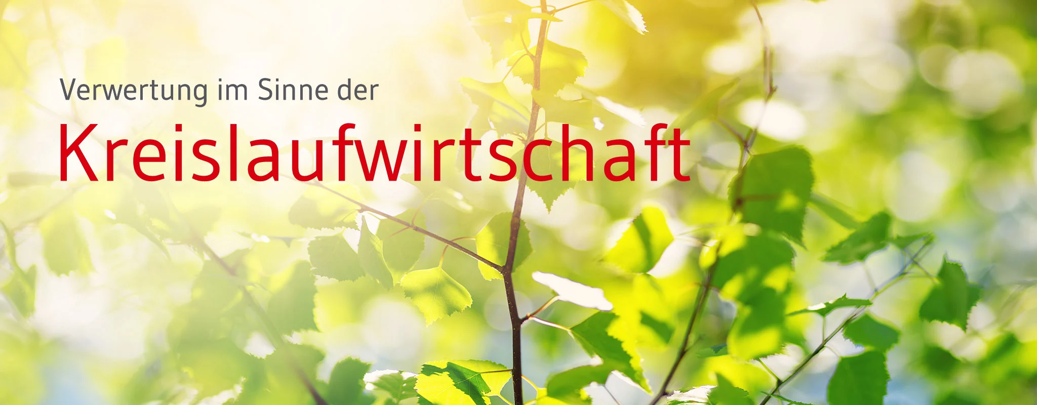Verwertung und Recycling von Hausmüllverbrennungsasche nach Umweltvorschriften